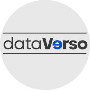 Logo dataverso